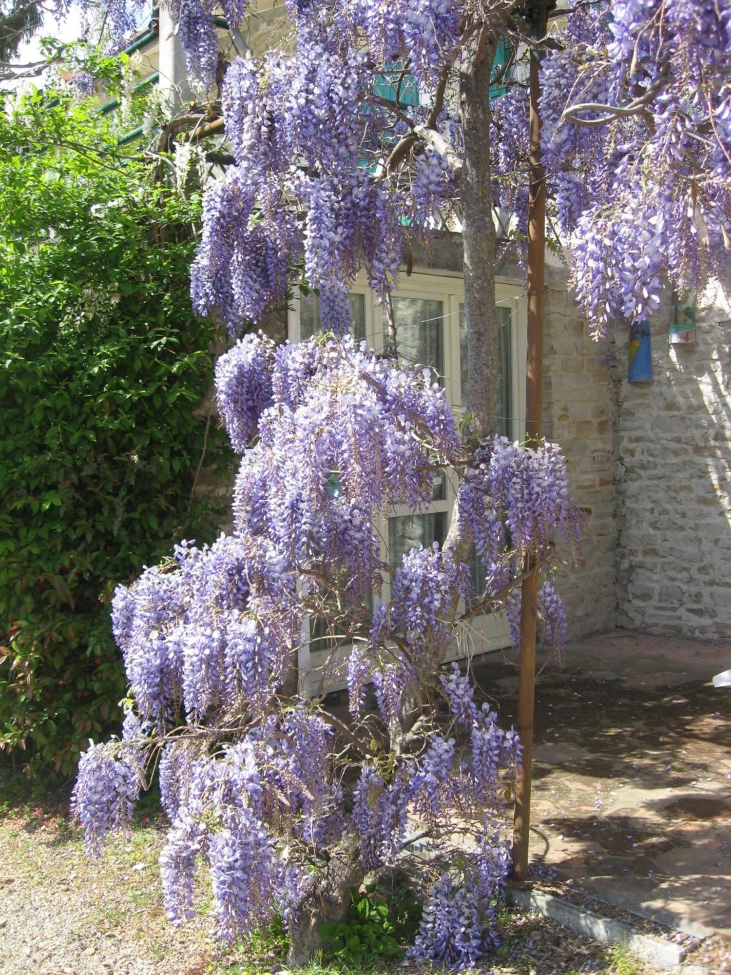 Agriturismo Cascina Serra Cossano Belbo Exteriör bild