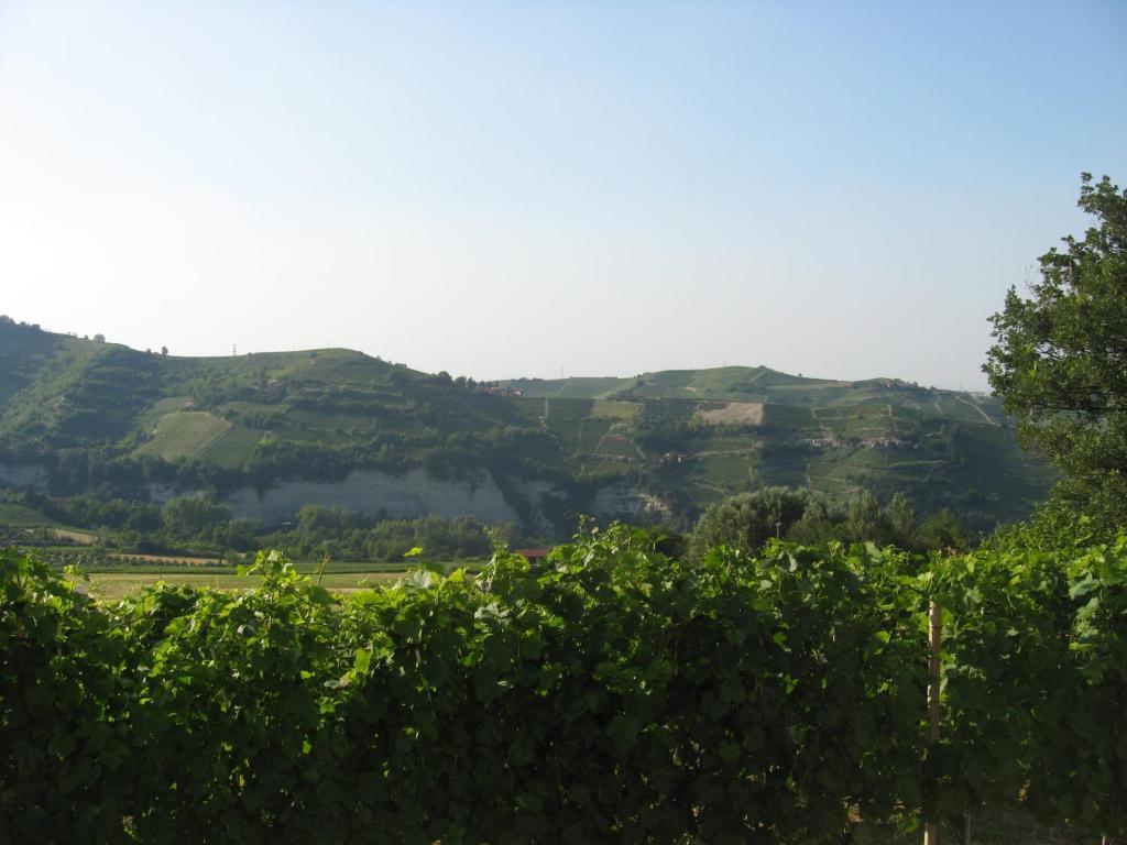 Agriturismo Cascina Serra Cossano Belbo Rum bild