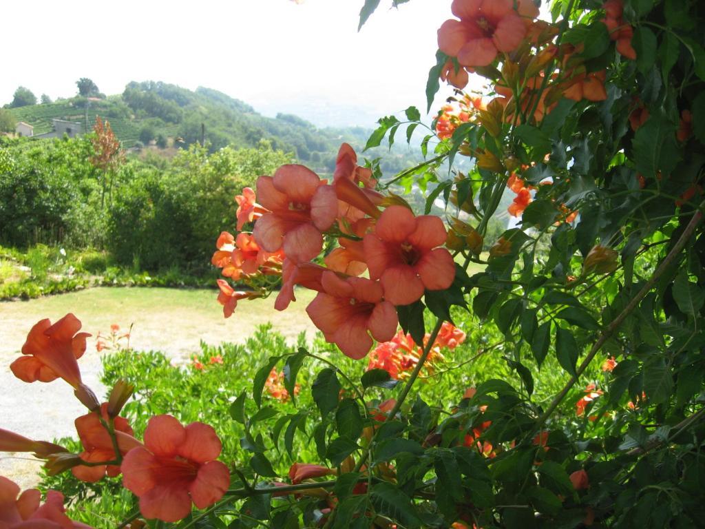 Agriturismo Cascina Serra Cossano Belbo Exteriör bild