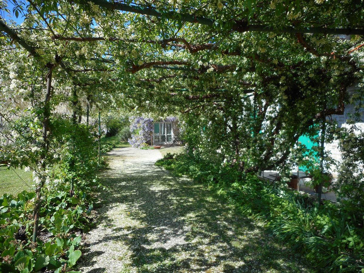 Agriturismo Cascina Serra Cossano Belbo Exteriör bild