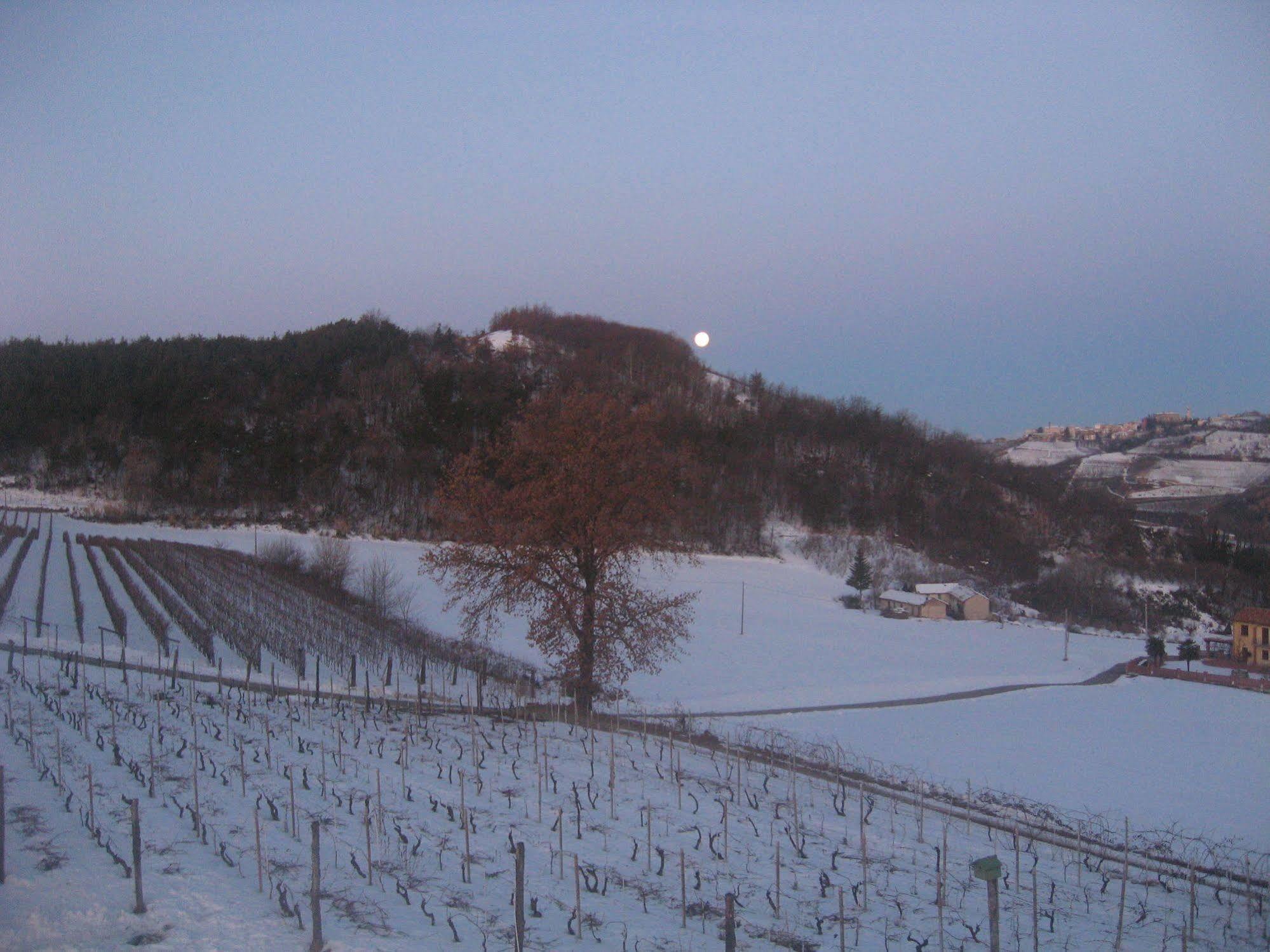 Agriturismo Cascina Serra Cossano Belbo Exteriör bild