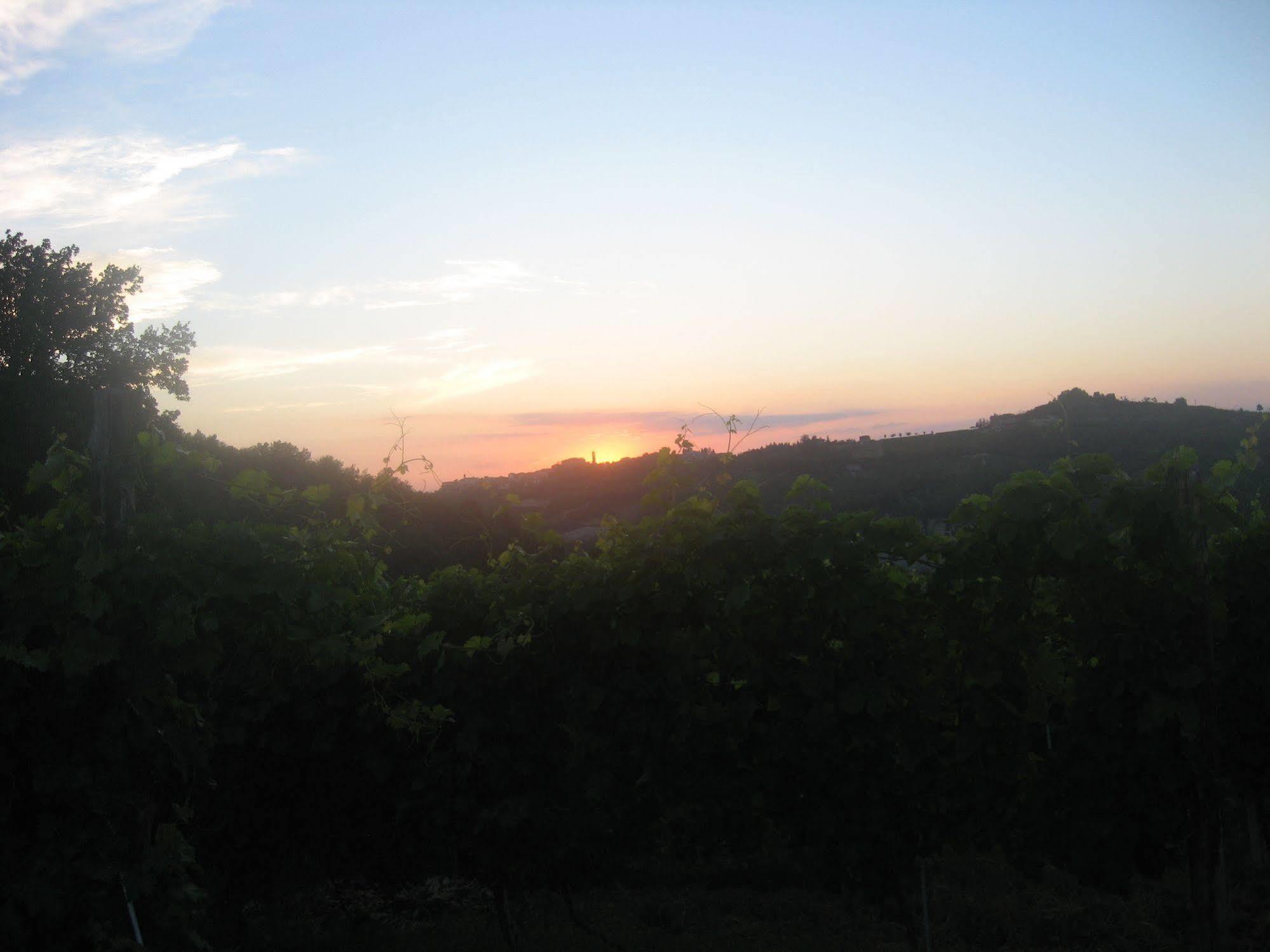 Agriturismo Cascina Serra Cossano Belbo Exteriör bild